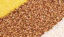Millet, Buckwheat, Rice Background Royalty Free Stock Image Millet, Buckwheat, Rice Background Royalty Free Stock Image