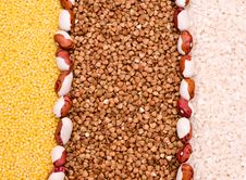 Millet, Buckwheat, Rice Background Royalty Free Stock Photo Millet, Buckwheat, Rice Background Royalty Free Stock Photo