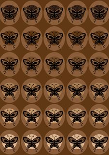 Funky  Butterflies Royalty Free Stock Photos