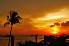 Tropical Sunset With Coconut Tree Near The Sea Royalty Free Stock Photo Tropical Sunset With Coconut Tree Near The Sea Royalty Free Stock Photo