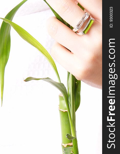 Hand with ring and plant over white background. Hand with ring and plant over white background