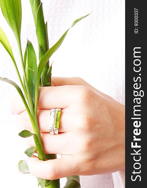 Hand with ring and plant over white background