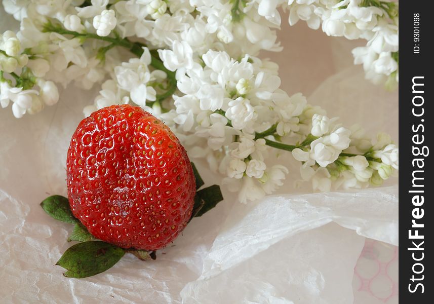 White Lilac And Strawberry
