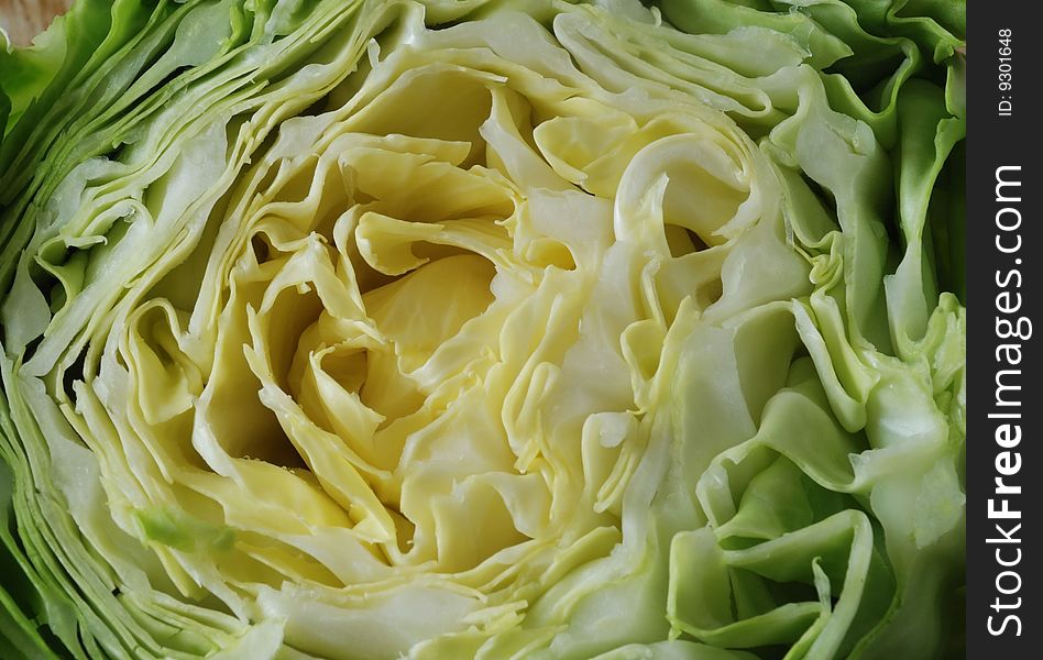 Fresh Green Cabbage