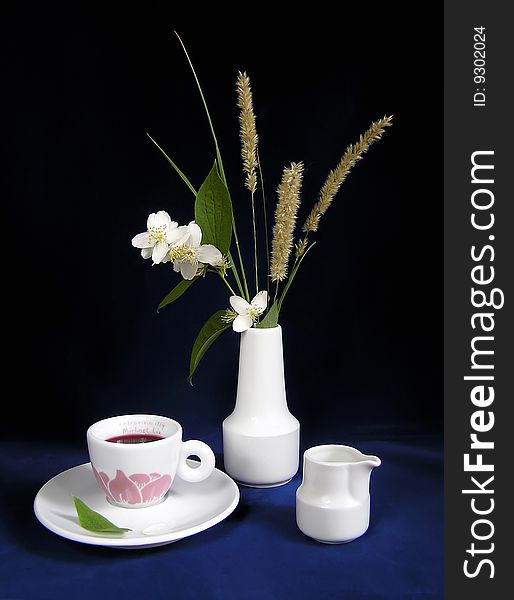 Still-life with a branch of a jasmin and a cup against a dark background.