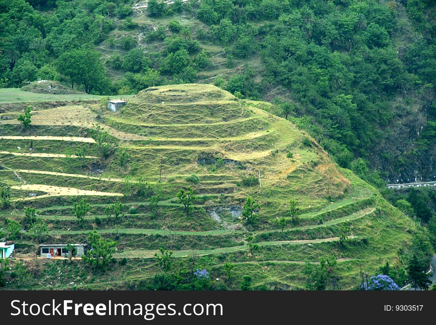 Hilly landscape step cut to prevent soil erosion and facilitate habitation. Hilly landscape step cut to prevent soil erosion and facilitate habitation