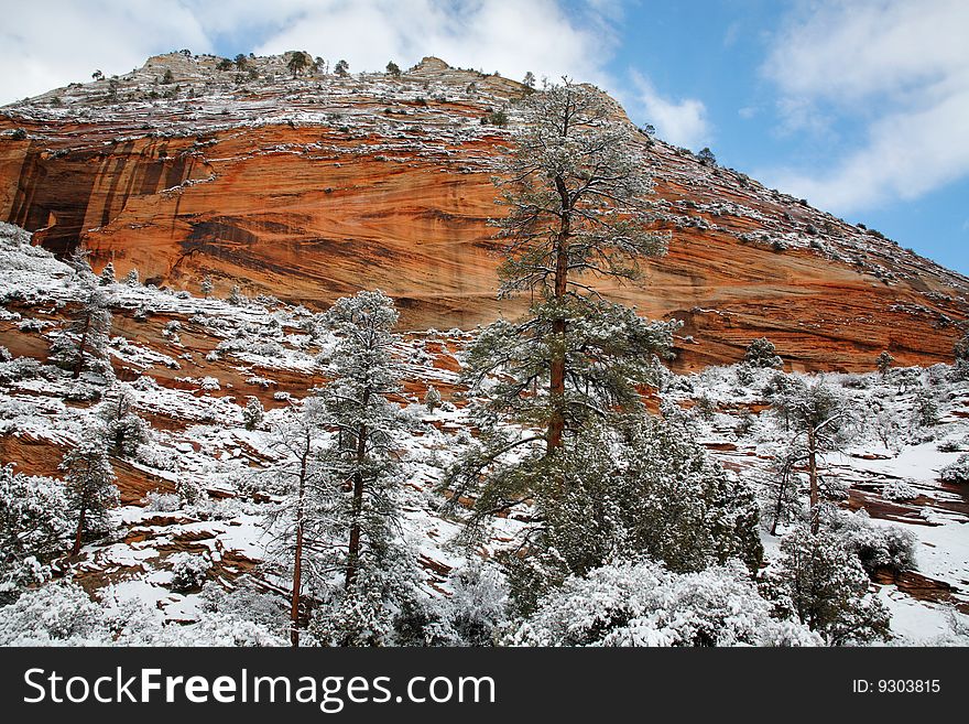 Snowfall At Zion