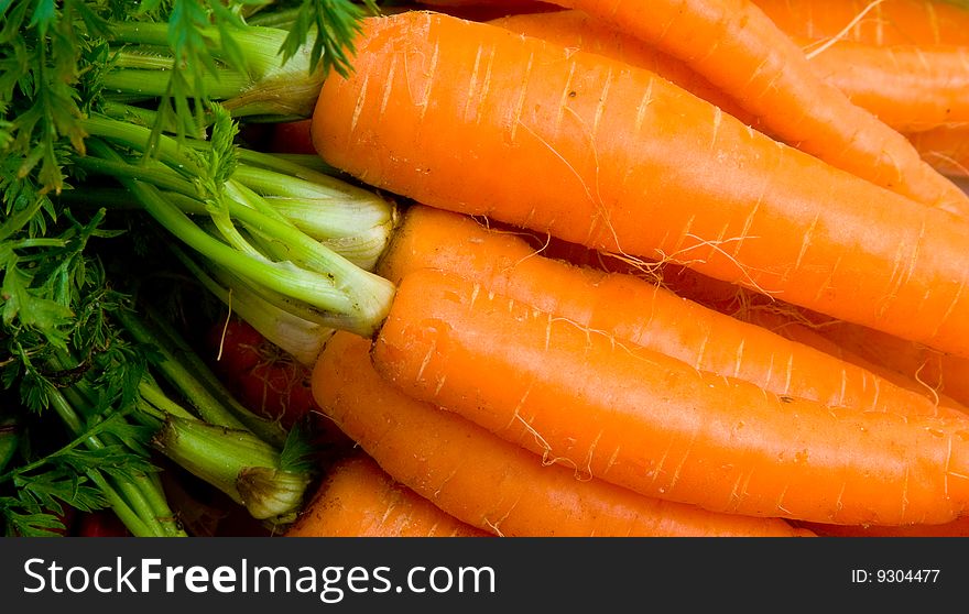 Bunch of fresh baby carrots. Bunch of fresh baby carrots