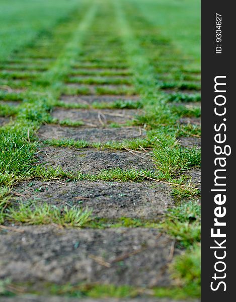 Pavement walkway with grass inbetween