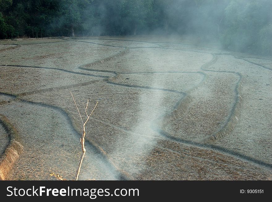 Smoking dry rice field in Thailand