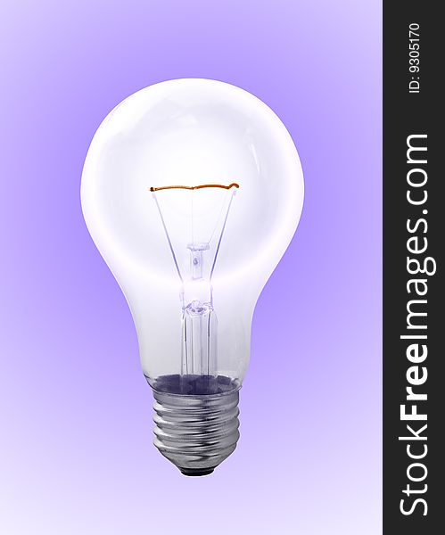 Bulb on a white background. Bulb on a white background