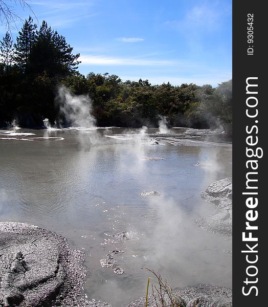 Geothermal Activity, Rotorua, New Zealand