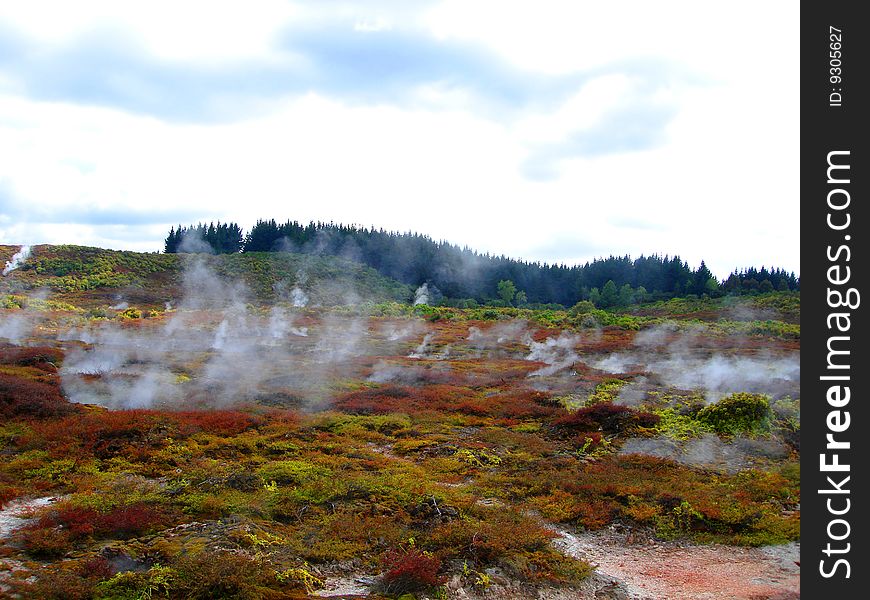 Geothermal Activity of Hell's Gate, New Zealand