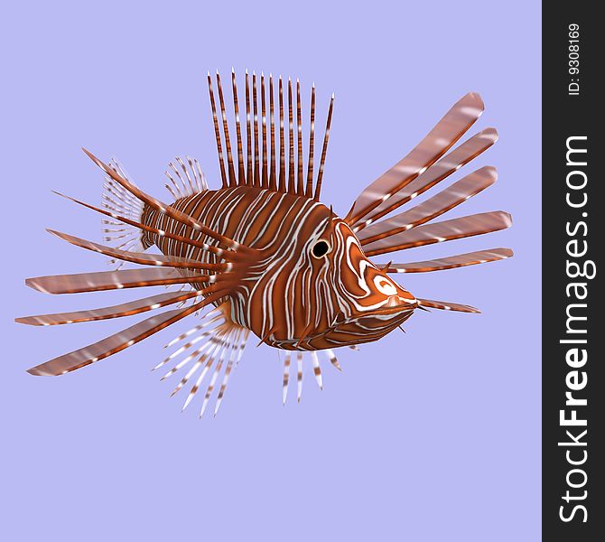 Red lion fish in water With Clipping Path. Red lion fish in water With Clipping Path