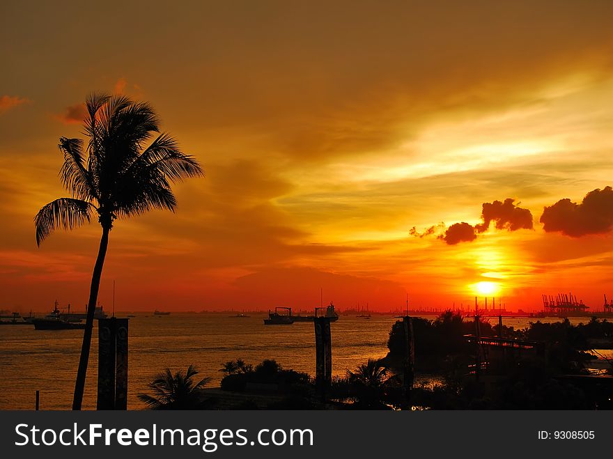 Tropical Sunset With Coconut Tree Near The Sea
