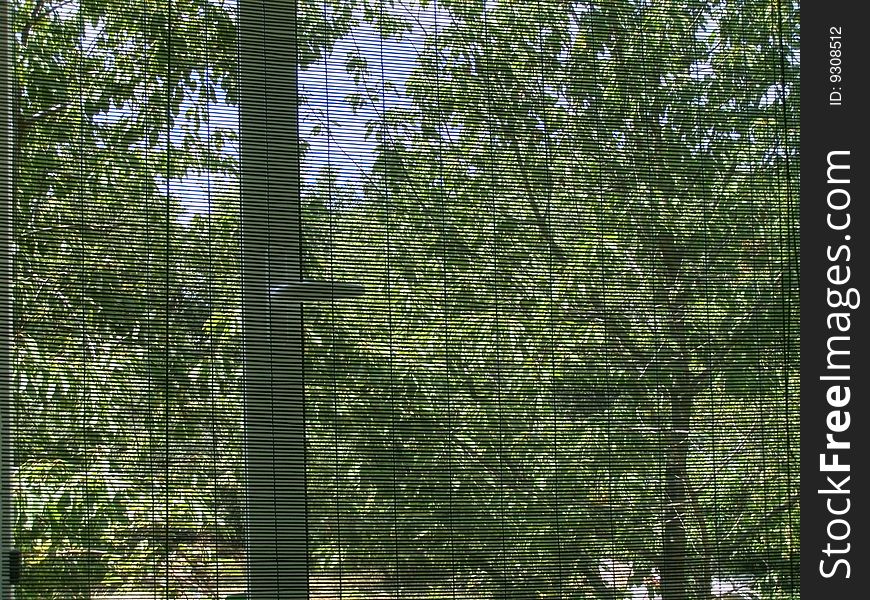 Room with green bamboo window shades, view of the garden greenery. Room with green bamboo window shades, view of the garden greenery