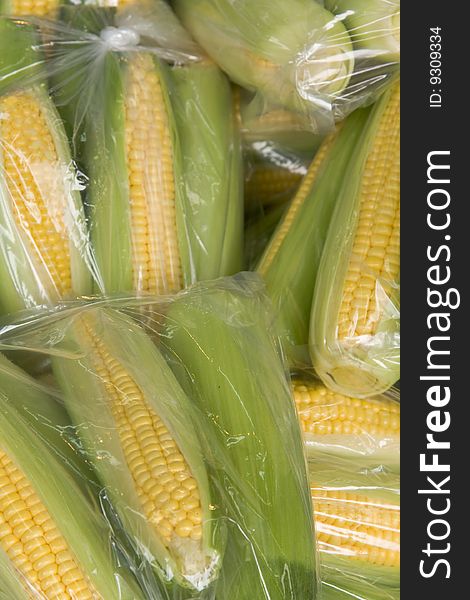 Close up on some sweet corn ready for sale.