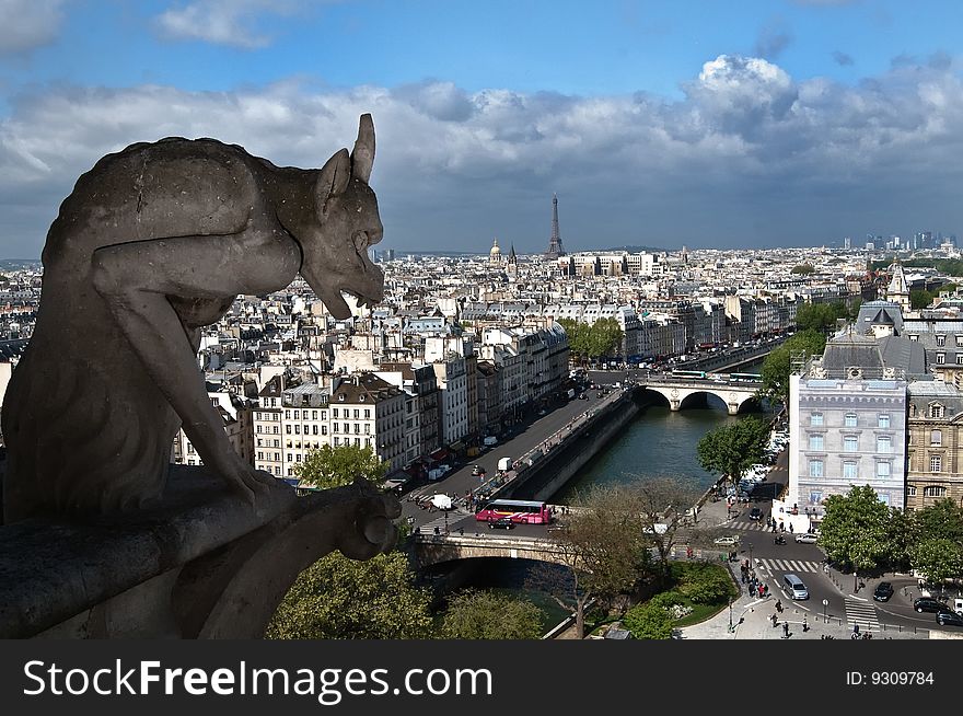 Gargoyle and the Eiffel Tower taken from the tower at Notre Dame.