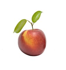 Nectarine Royalty Free Stock Photo Nectarine Royalty Free Stock Photo