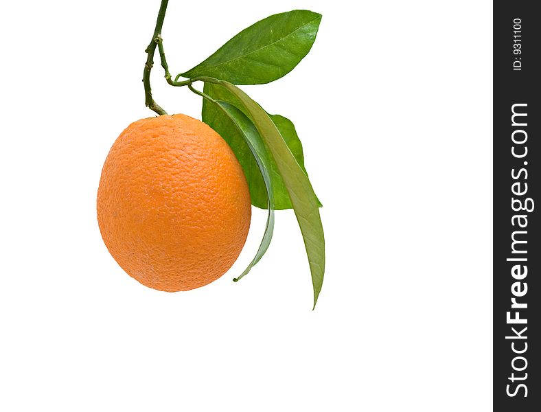 Orange