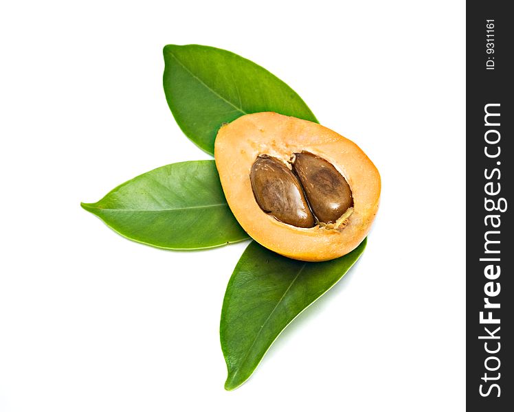 Section of loquat on leaves