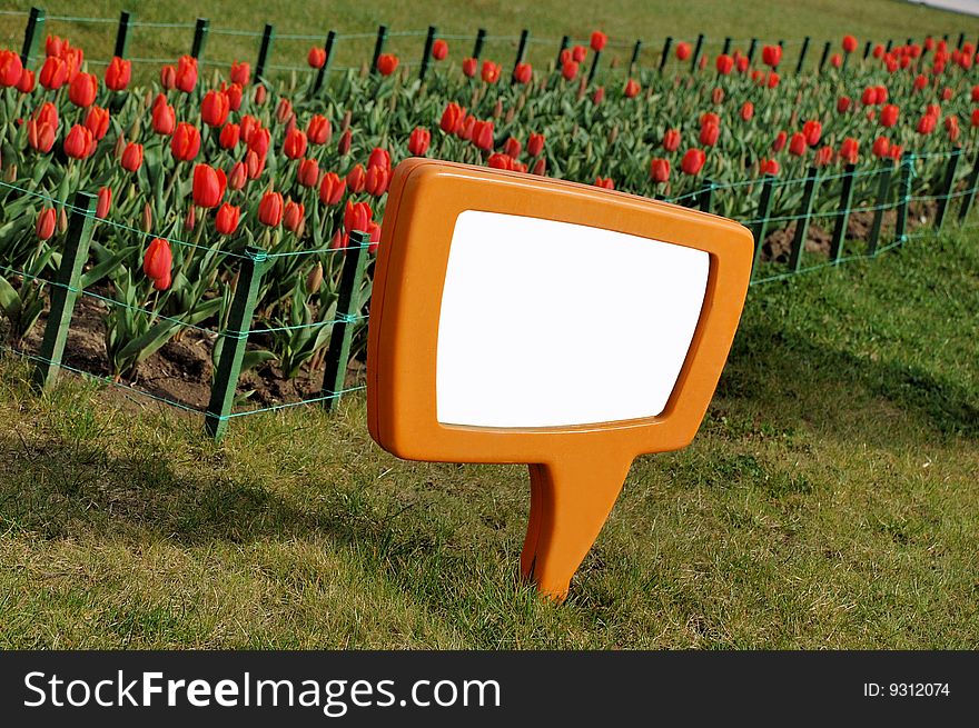 Tulip garden in spring - message board