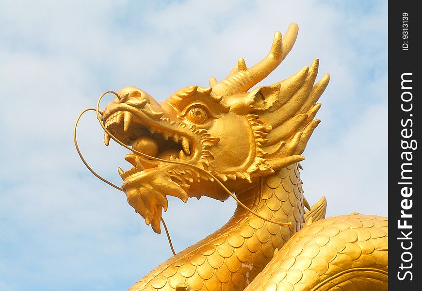 Head of the golden dragon, statue in Phuket, Thailand. Head of the golden dragon, statue in Phuket, Thailand