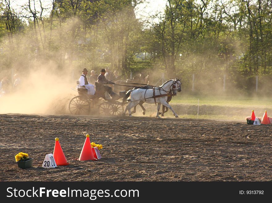 Two horse drawn carriage in a competition