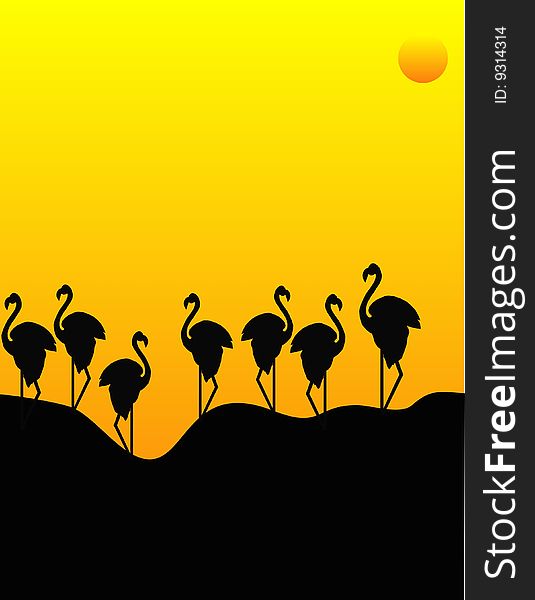 Silhouette of flamingos enjoying as the sun goes down for the day. Silhouette of flamingos enjoying as the sun goes down for the day...