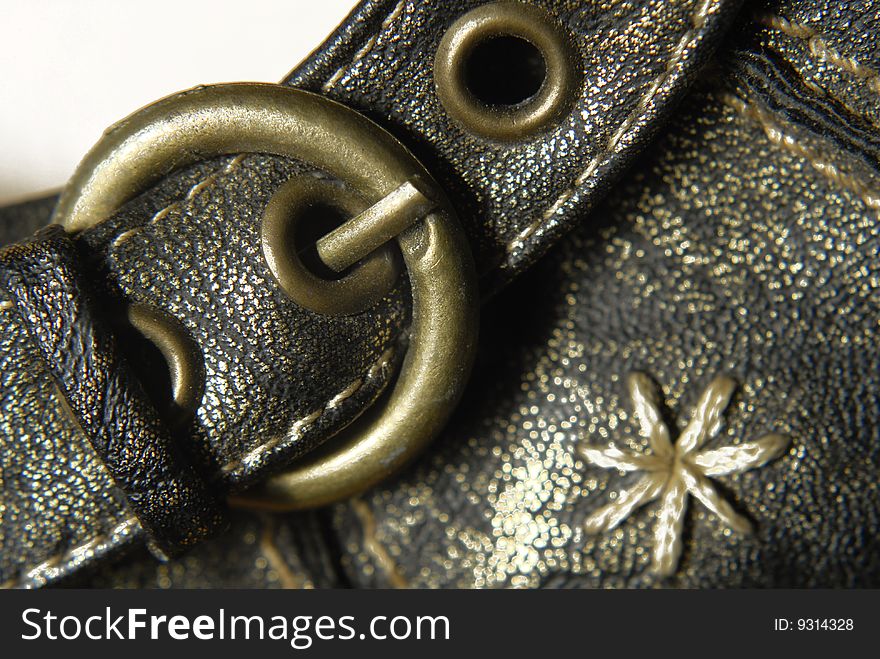 Close up of buckle on leather shoe