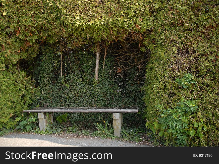 Romantic bench in a hedge