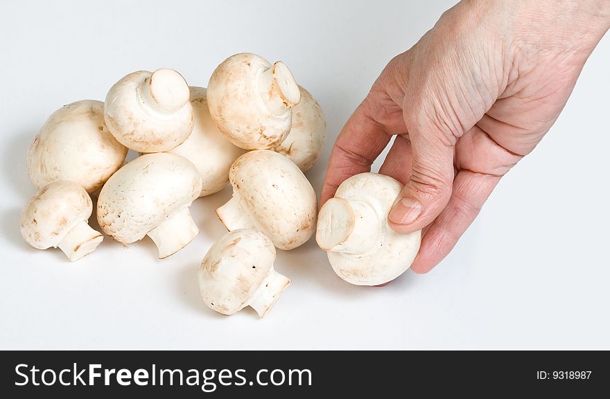 Woman's  hand taking fresh mushroom. Woman's  hand taking fresh mushroom