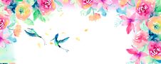 Watercolor Sunflower Hummingbird Background Royalty Free Stock Photography