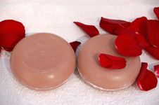 Rose Soap Stock Photos