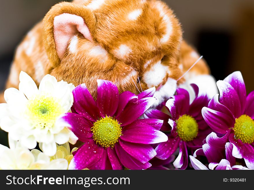 Toy-cat sniffing beautiful flowers. Toy-cat sniffing beautiful flowers