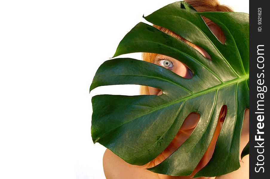 Girl looking through the big leaf on white background. Girl looking through the big leaf on white background