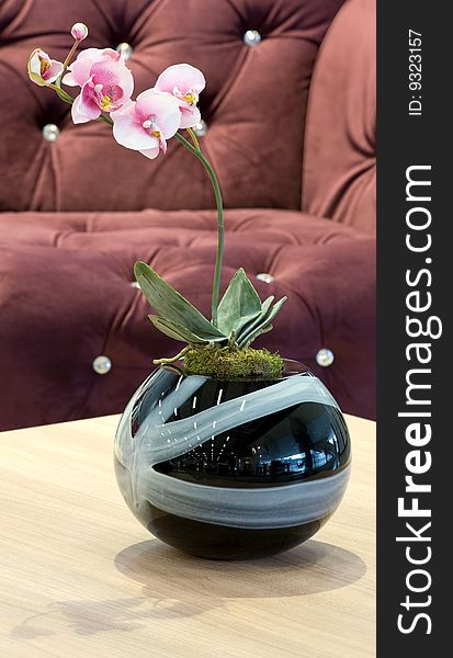 Natural pink orchid in vase on the table.