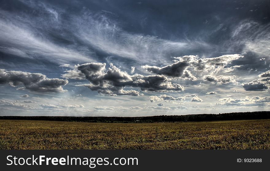 Summer day landscape with a field, a strip of wood and небос with floating clouds.