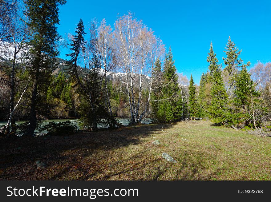 Mountain Landscape