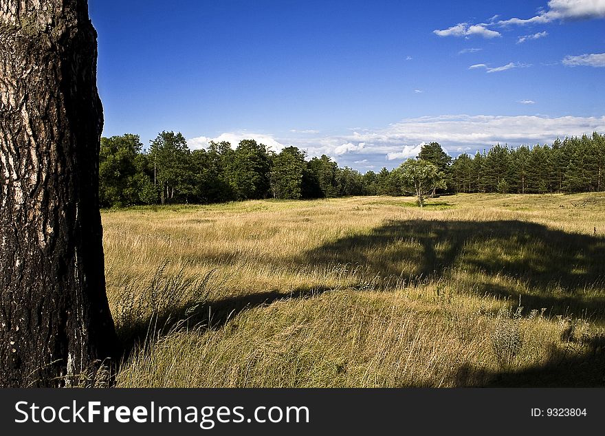 The summer landscape made in the Vladimir area in Russia. The summer landscape made in the Vladimir area in Russia