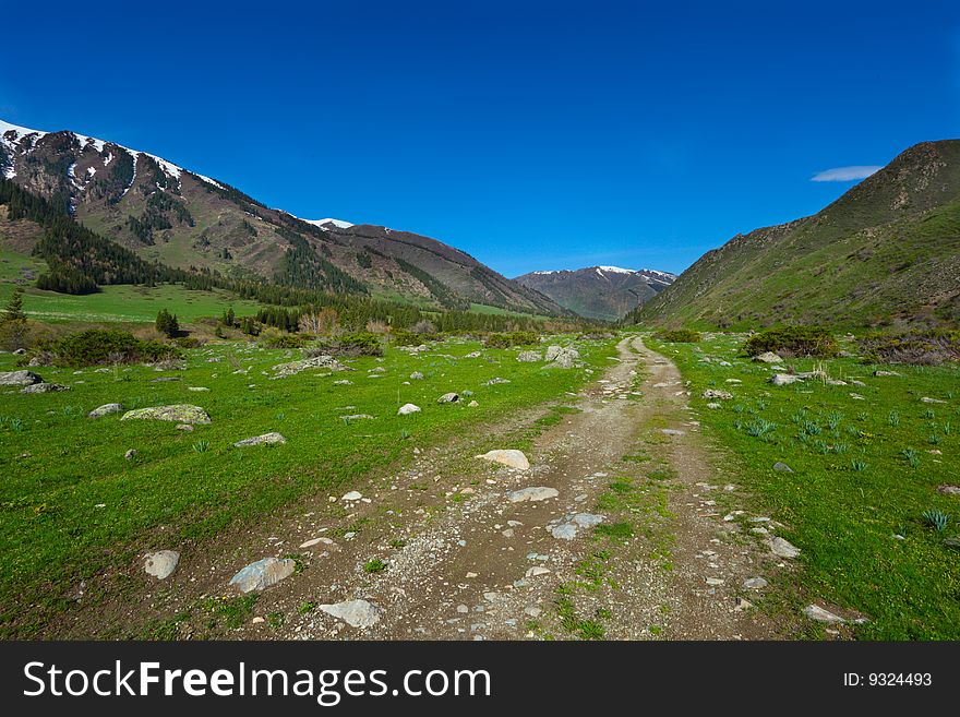 Mountain Landscape