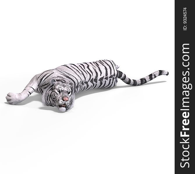 Dangerous Big Cat White Tiger With Clipping Path Over White