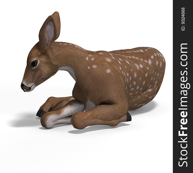 Young doe or fawn With Clipping Path and shadow