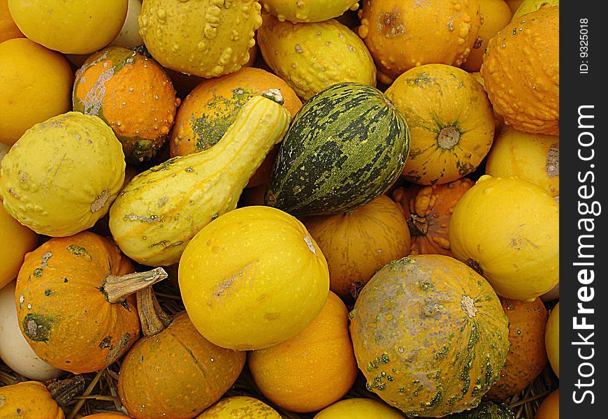 Background of many yellow colored gourds