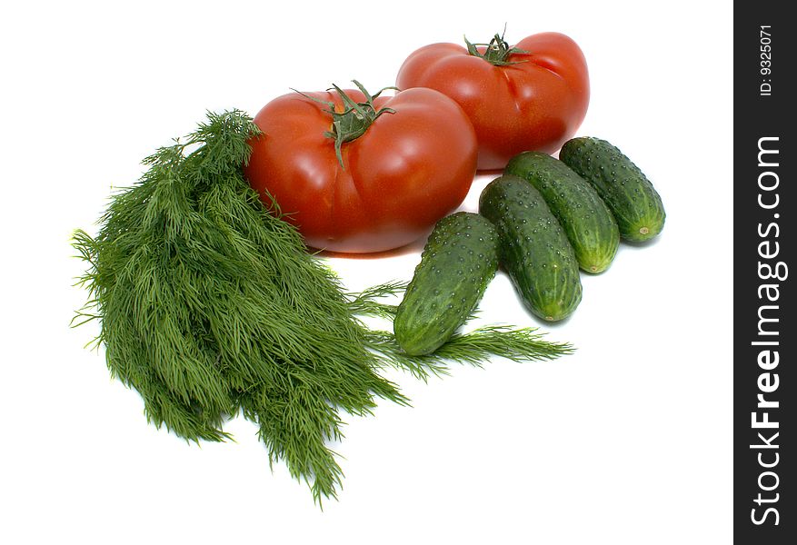 Fresh tomatoes, cucumber and dill on a white background. Fresh tomatoes, cucumber and dill on a white background