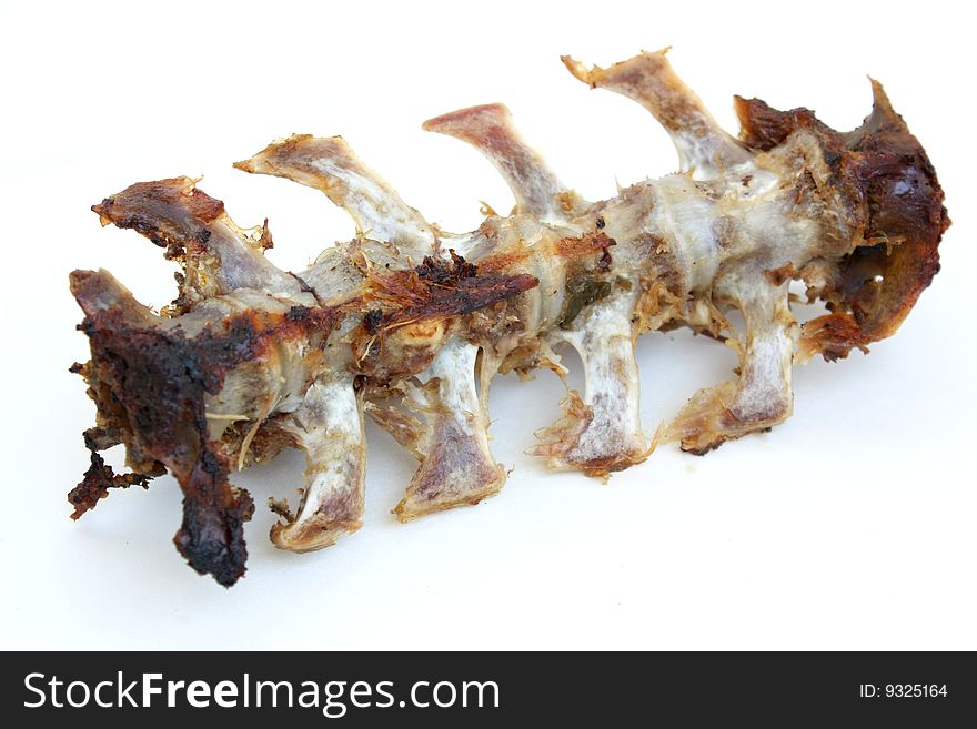 Clean cooked lamb spine bone isolated on white