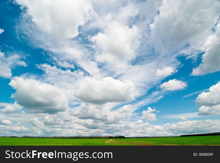 Background of cloudy sky and grass. Background of cloudy sky and grass