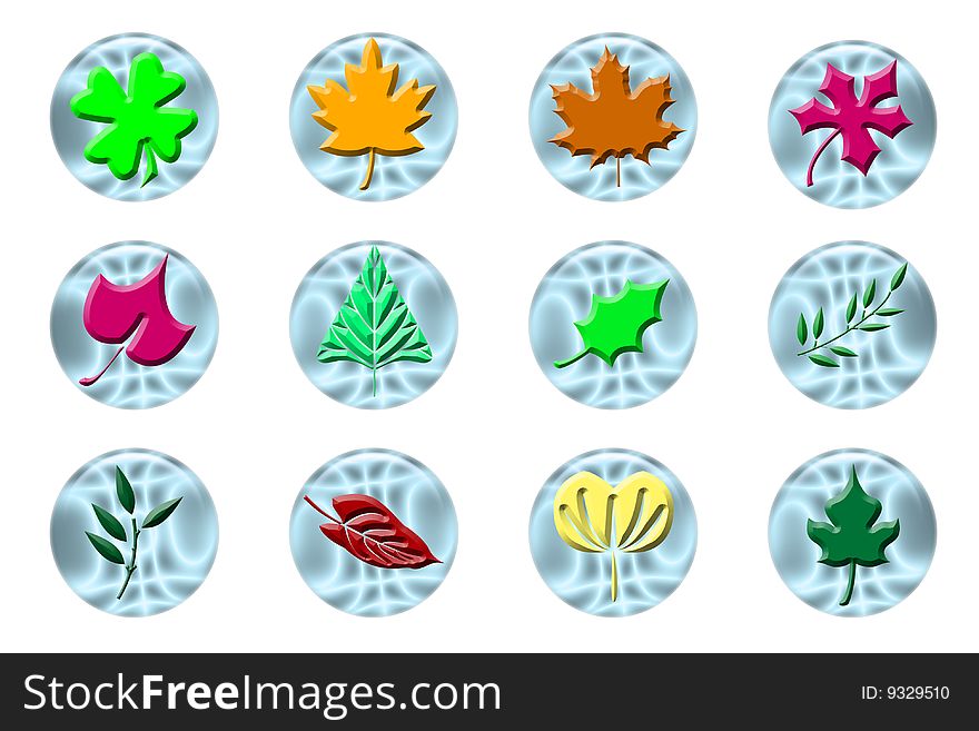 Images of colorful leaves on water pins. Images of colorful leaves on water pins