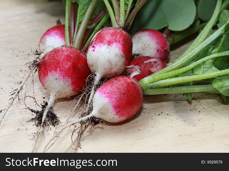 Freshly picked radishes on a chopping board. Freshly picked radishes on a chopping board