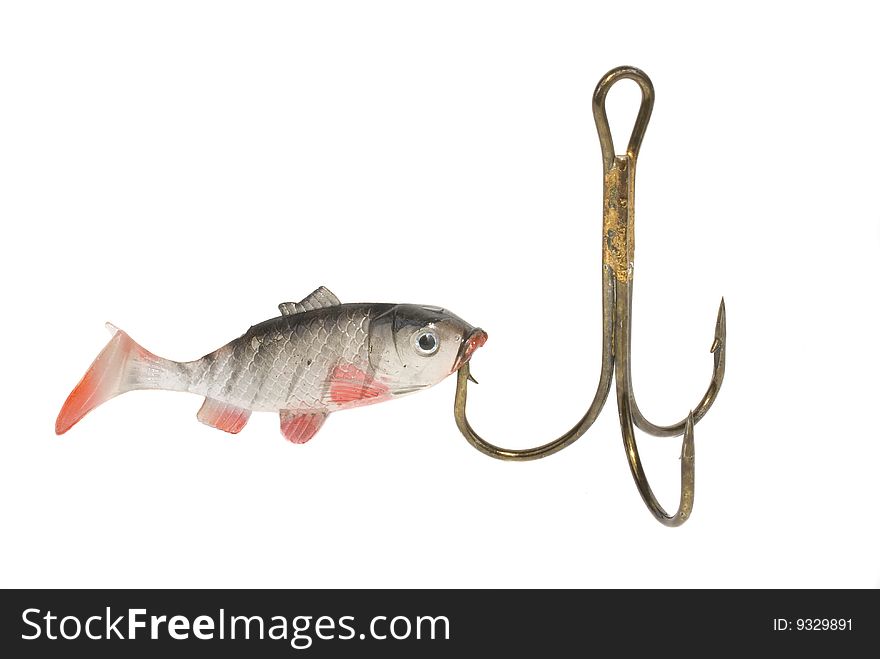 Fish on hook is insulated on white background